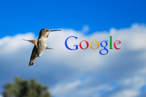 google hummingbird algorithm update